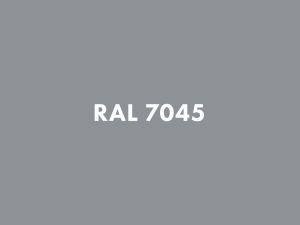RAL 7045.png