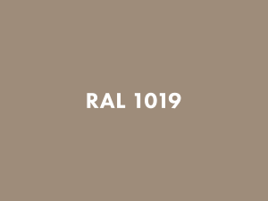 RAL 1019