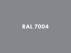 RAL 7004