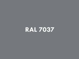 RAL 7037.png