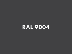 RAL 9004.png