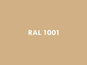 RAL 1001