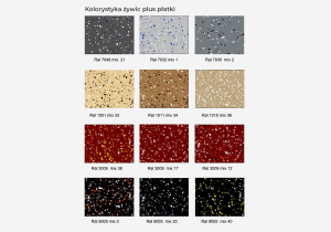 Płatki dekoracyjne_1.png