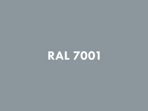 RAL 7001.png