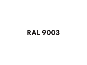 RAL 9003.png