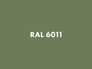 RAL 6011.png