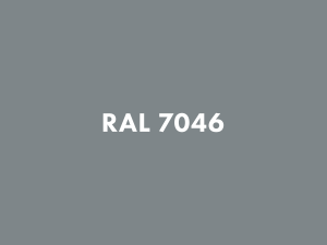 RAL 7046.png