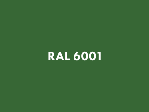 RAL 6001.png